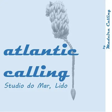 Atlantic Calling - First Line With Stunning Sea View And Private Parking Lot * Funchal (Madeira)